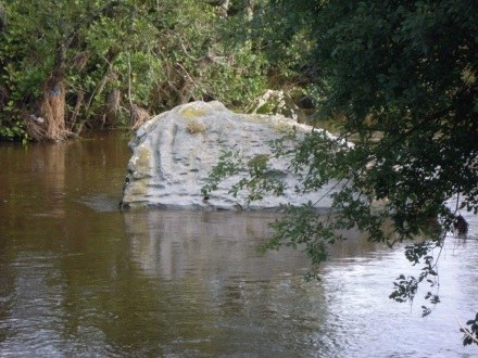 Large pale rock in a river surrounded by trees.