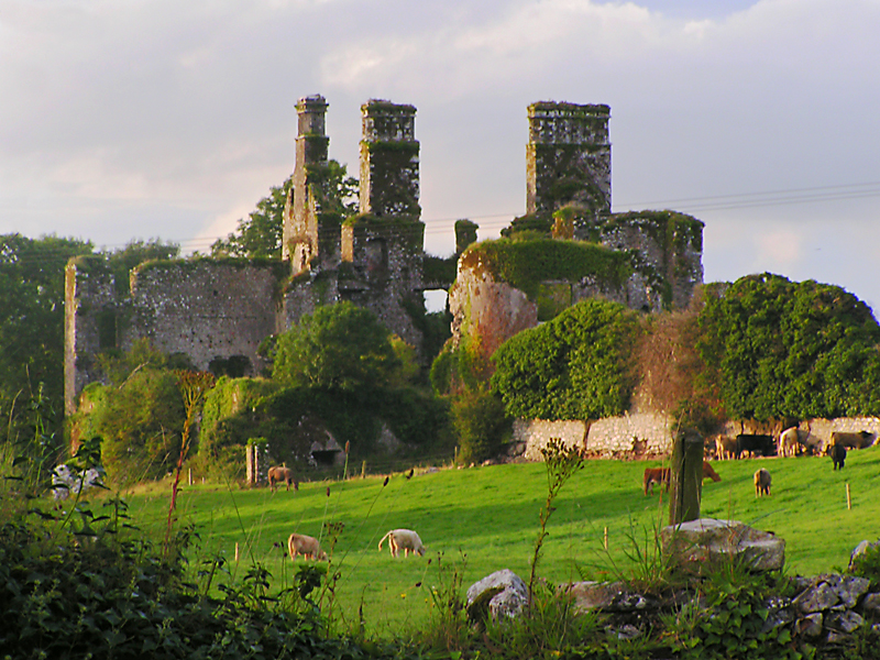 Barrymore Castle or another castle ruin