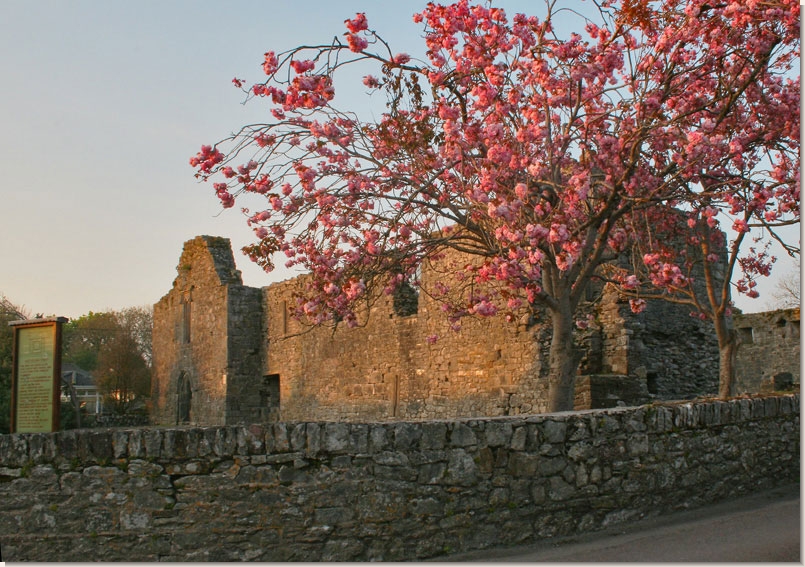 Historic abbey or church ruins