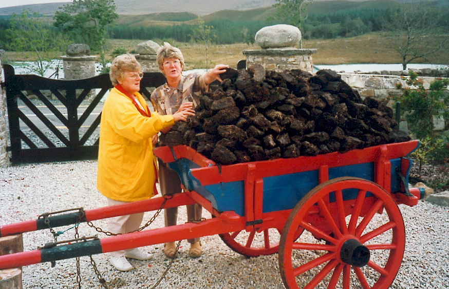 Archive photograph associated with graph likely relating to Turf